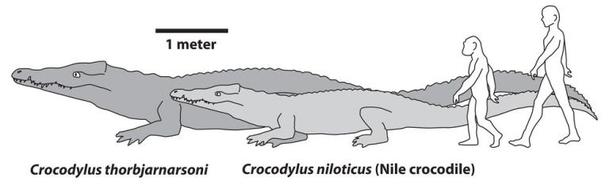 Prehistoric Crocodile size comparison
