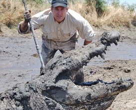 Brady Barr facing a crocodile